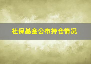 社保基金公布持仓情况