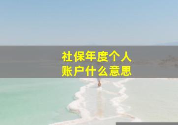 社保年度个人账户什么意思