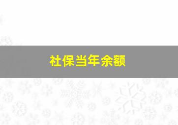 社保当年余额