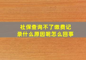 社保查询不了缴费记录什么原因呢怎么回事