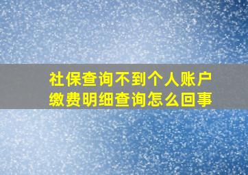 社保查询不到个人账户缴费明细查询怎么回事