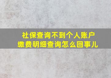 社保查询不到个人账户缴费明细查询怎么回事儿