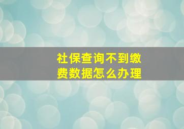 社保查询不到缴费数据怎么办理