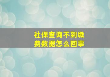 社保查询不到缴费数据怎么回事