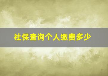 社保查询个人缴费多少