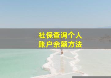 社保查询个人账户余额方法