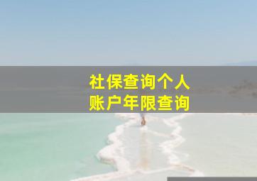 社保查询个人账户年限查询