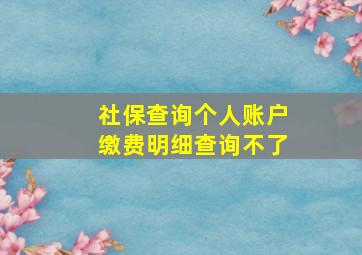 社保查询个人账户缴费明细查询不了