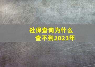 社保查询为什么查不到2023年