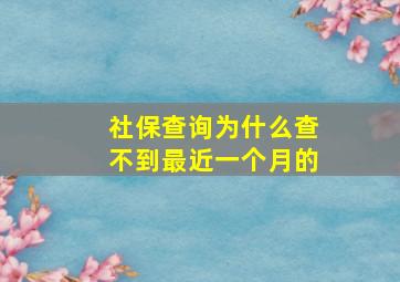 社保查询为什么查不到最近一个月的