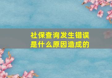 社保查询发生错误是什么原因造成的