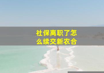 社保离职了怎么续交新农合