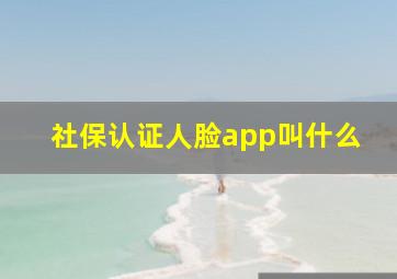 社保认证人脸app叫什么