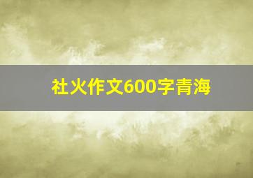 社火作文600字青海