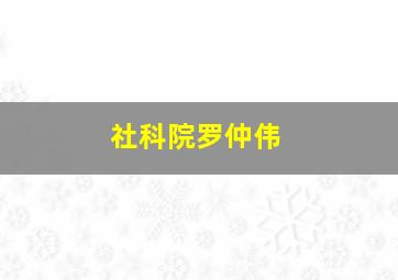 社科院罗仲伟