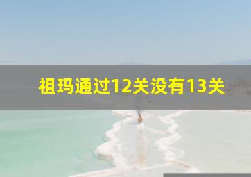 祖玛通过12关没有13关