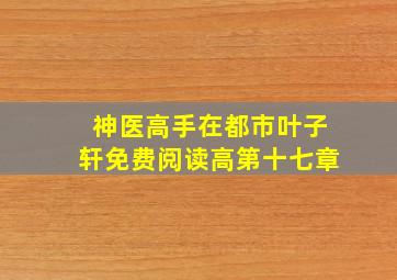 神医高手在都市叶子轩免费阅读高第十七章