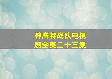 神鹰特战队电视剧全集二十三集