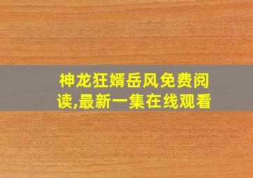 神龙狂婿岳风免费阅读,最新一集在线观看