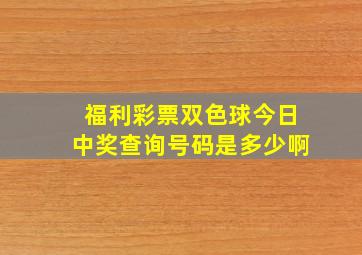 福利彩票双色球今日中奖查询号码是多少啊