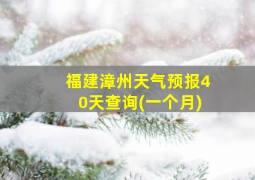 福建漳州天气预报40天查询(一个月)