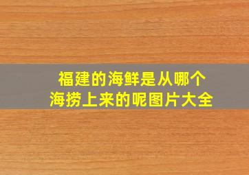 福建的海鲜是从哪个海捞上来的呢图片大全