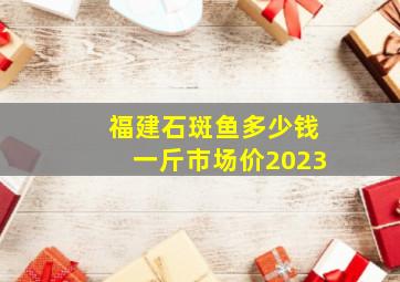 福建石斑鱼多少钱一斤市场价2023