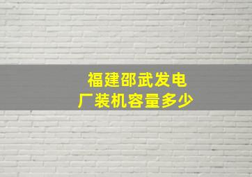 福建邵武发电厂装机容量多少