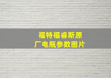 福特福睿斯原厂电瓶参数图片