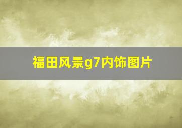 福田风景g7内饰图片