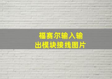 福赛尔输入输出模块接线图片