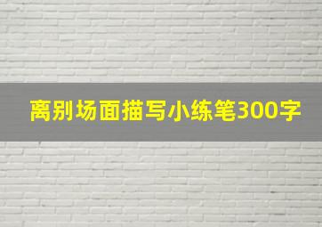 离别场面描写小练笔300字