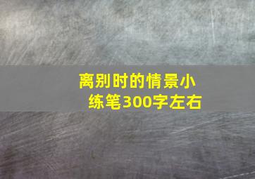 离别时的情景小练笔300字左右