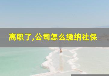 离职了,公司怎么缴纳社保