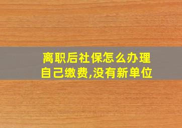 离职后社保怎么办理自己缴费,没有新单位