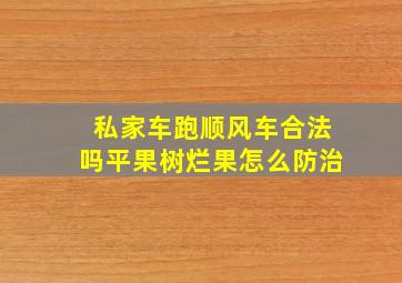 私家车跑顺风车合法吗平果树烂果怎么防治