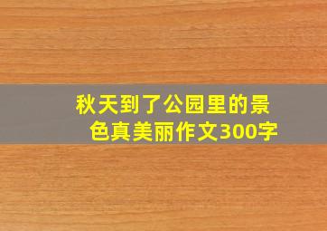 秋天到了公园里的景色真美丽作文300字