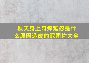 秋天身上奇痒难忍是什么原因造成的呢图片大全