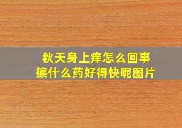 秋天身上痒怎么回事擦什么药好得快呢图片