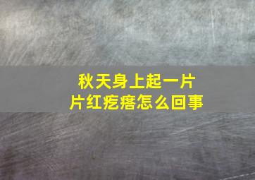 秋天身上起一片片红疙瘩怎么回事