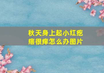 秋天身上起小红疙瘩很痒怎么办图片