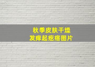 秋季皮肤干燥发痒起疙瘩图片