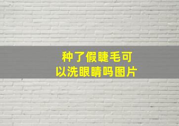 种了假睫毛可以洗眼睛吗图片