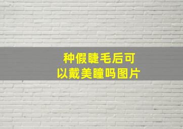 种假睫毛后可以戴美瞳吗图片