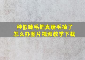 种假睫毛把真睫毛掉了怎么办图片视频教学下载