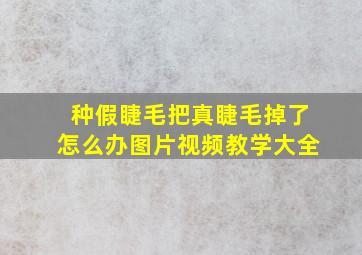 种假睫毛把真睫毛掉了怎么办图片视频教学大全