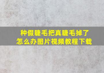 种假睫毛把真睫毛掉了怎么办图片视频教程下载