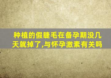 种植的假睫毛在备孕期没几天就掉了,与怀孕激素有关吗