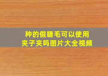 种的假睫毛可以使用夹子夹吗图片大全视频