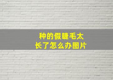 种的假睫毛太长了怎么办图片